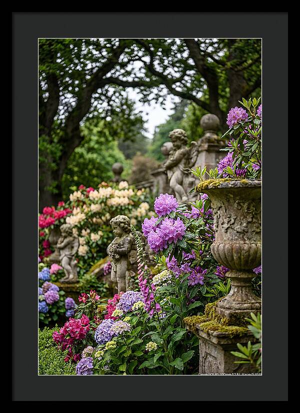 Powerscourt Gardens Serenity