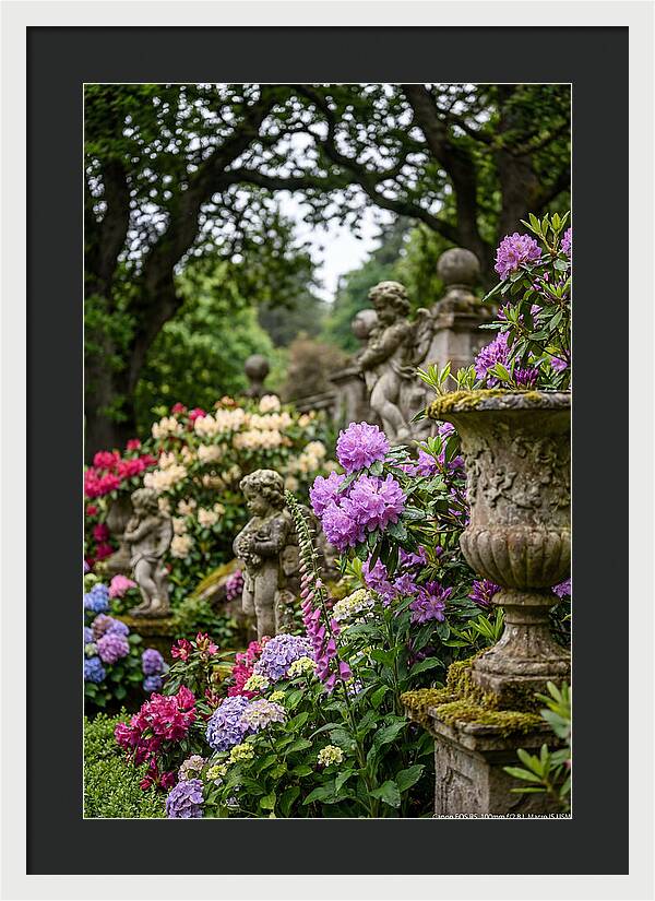 Powerscourt Gardens Serenity