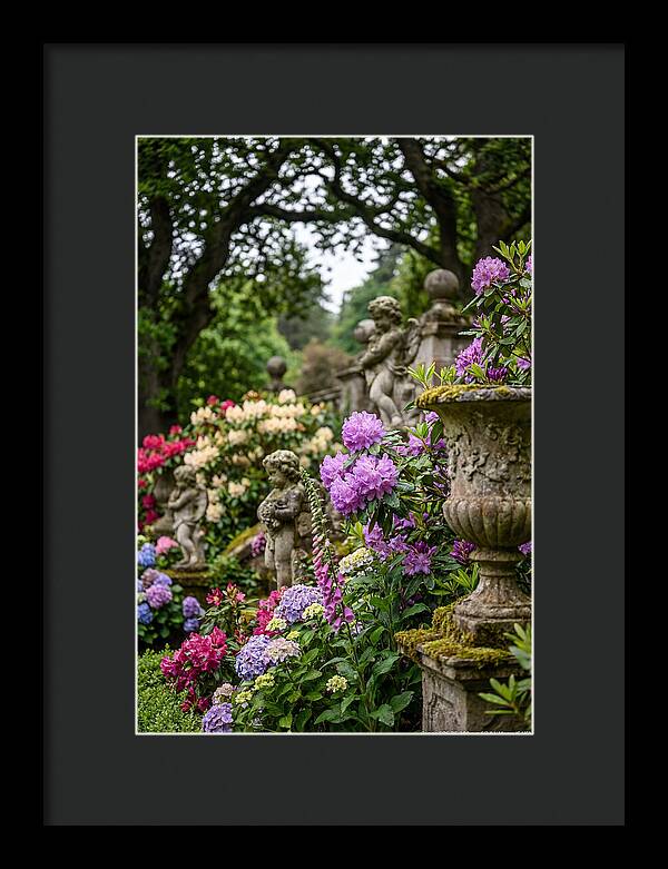 Powerscourt Gardens Serenity