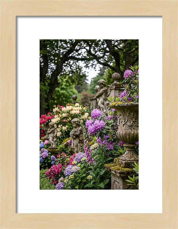 Powerscourt Gardens Serenity