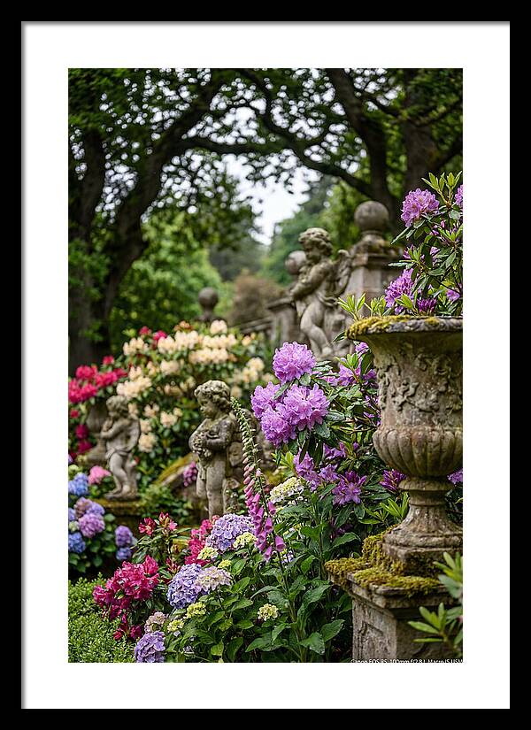 Powerscourt Gardens Serenity