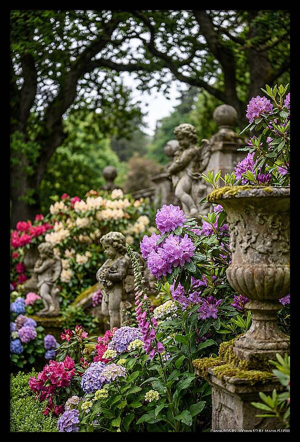 Powerscourt Gardens Serenity
