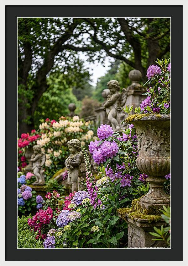 Powerscourt Gardens Serenity