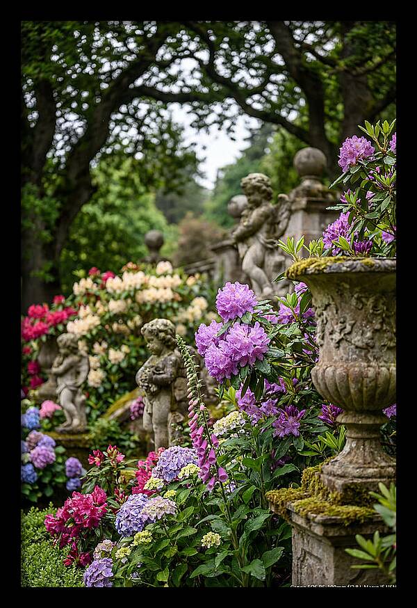 Powerscourt Gardens Serenity
