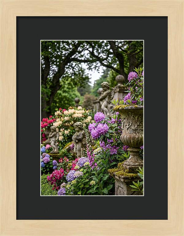 Powerscourt Gardens Serenity