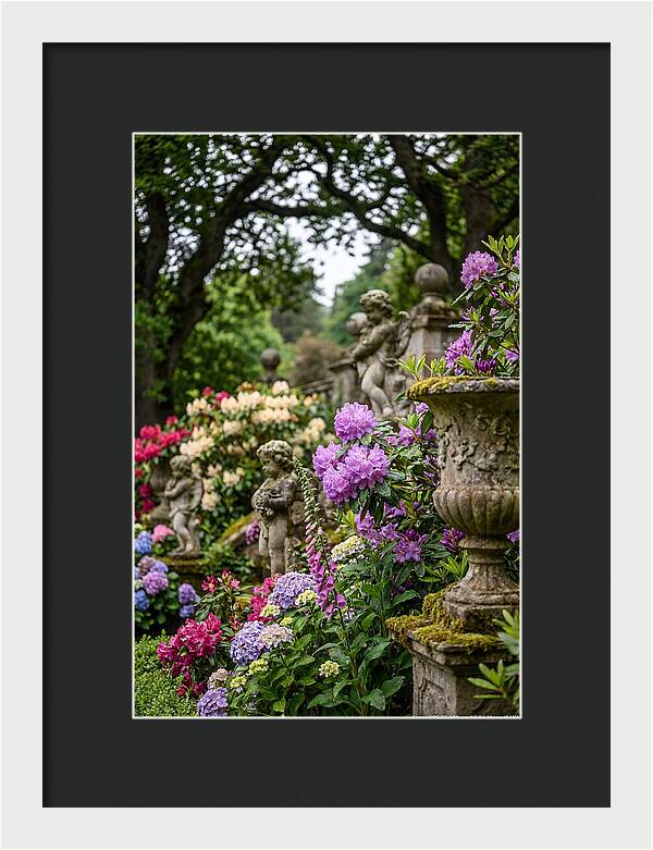 Powerscourt Gardens Serenity