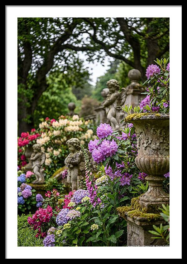 Powerscourt Gardens Serenity