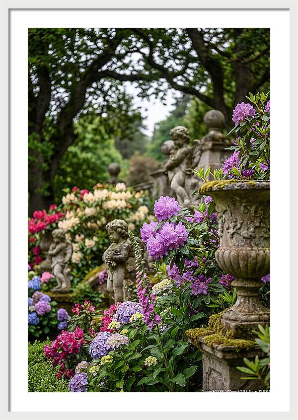 Powerscourt Gardens Serenity