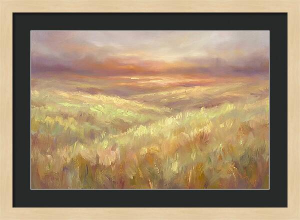 Prairie Grassland