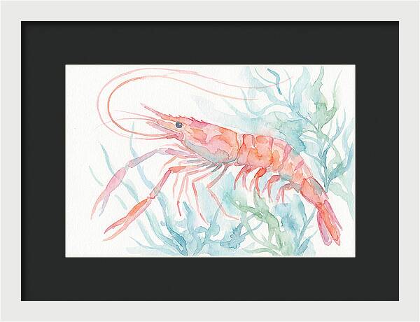 Prawn Among Aquatic Greens