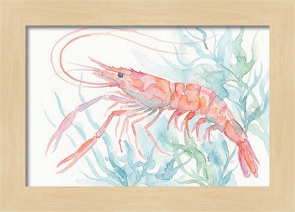 Prawn Among Aquatic Greens