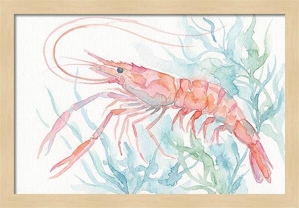 Prawn Among Aquatic Greens