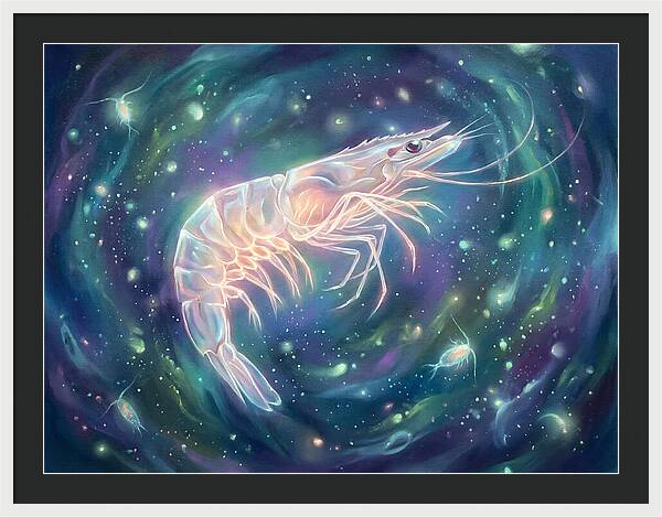Prawn In Cosmic Space
