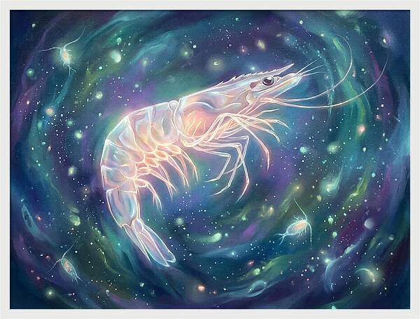 Prawn In Cosmic Space