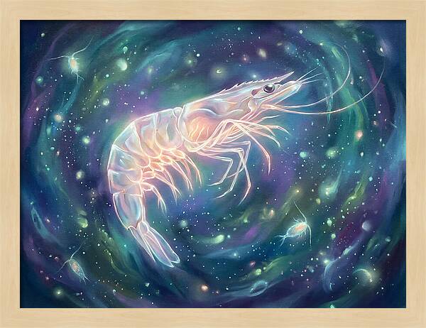 Prawn In Cosmic Space