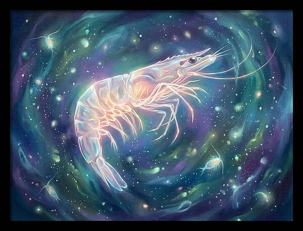 Prawn In Cosmic Space