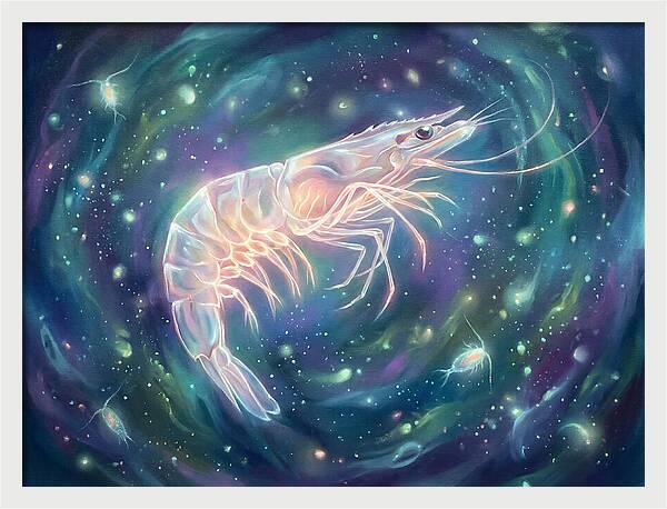 Prawn In Cosmic Space