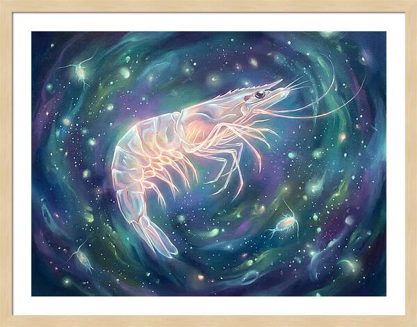 Prawn In Cosmic Space