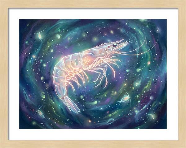 Prawn In Cosmic Space