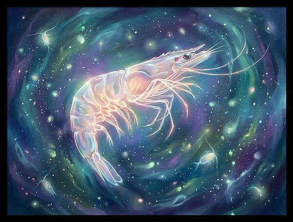 Prawn In Cosmic Space