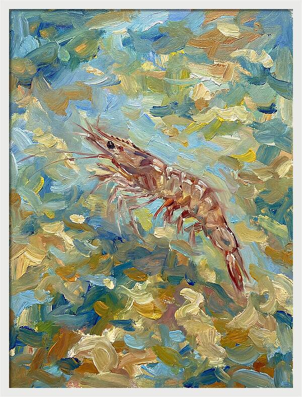 Prawn In Vibrant Waters