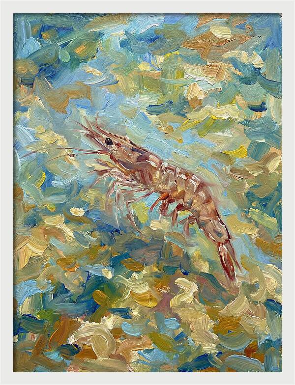 Prawn In Vibrant Waters