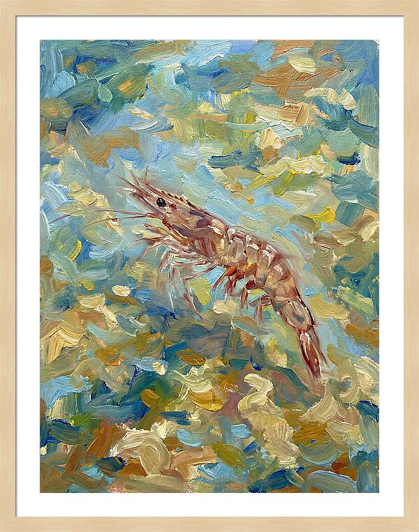 Prawn In Vibrant Waters