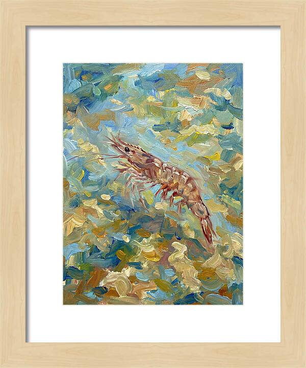 Prawn In Vibrant Waters