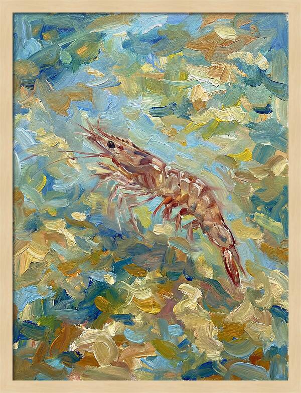 Prawn In Vibrant Waters
