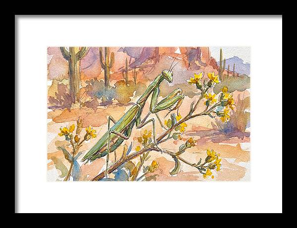 Praying Mantis In Desert Blooms