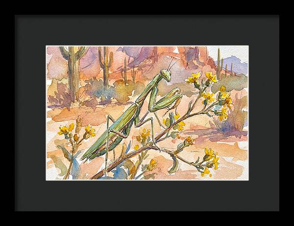 Praying Mantis In Desert Blooms