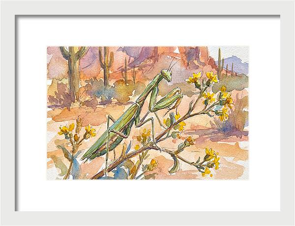 Praying Mantis In Desert Blooms