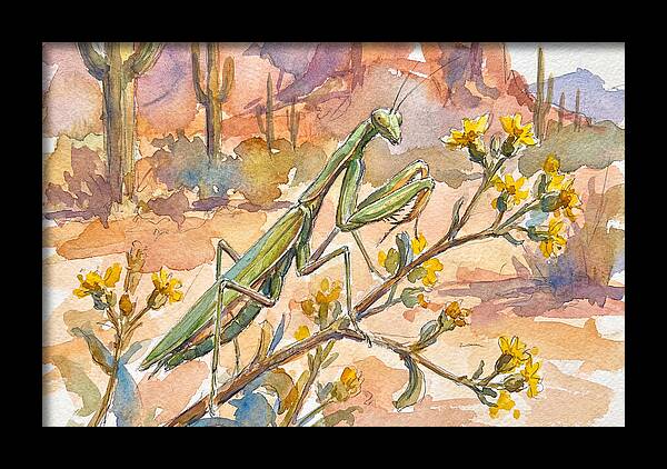 Praying Mantis In Desert Blooms