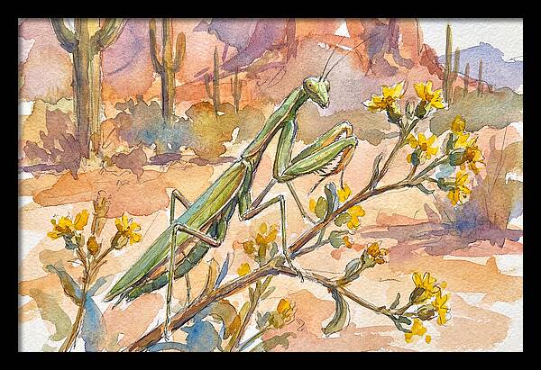 Praying Mantis In Desert Blooms