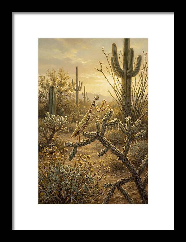 Praying Mantis In Desert Serenity