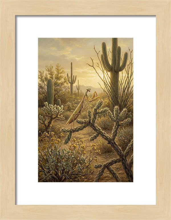 Praying Mantis In Desert Serenity