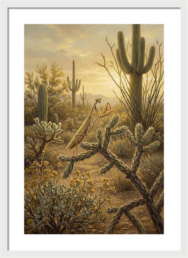 Praying Mantis In Desert Serenity