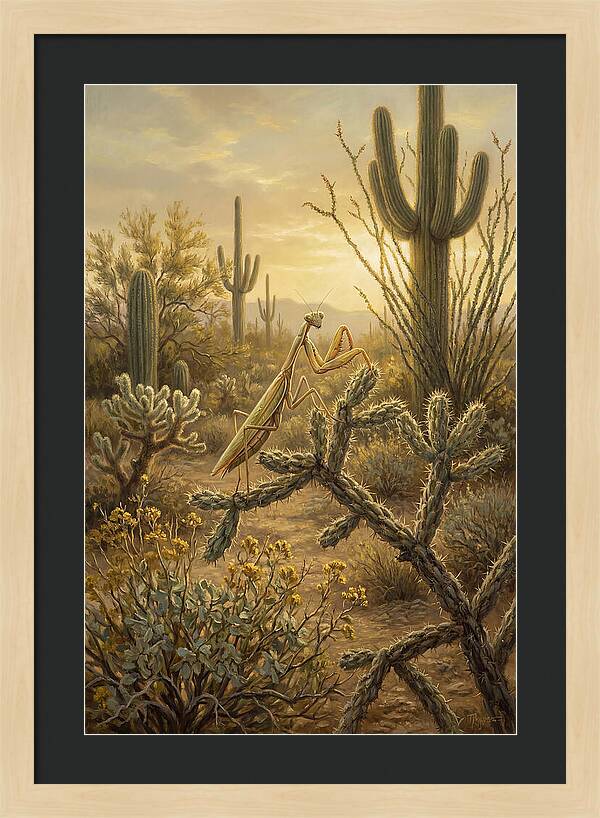 Praying Mantis In Desert Serenity