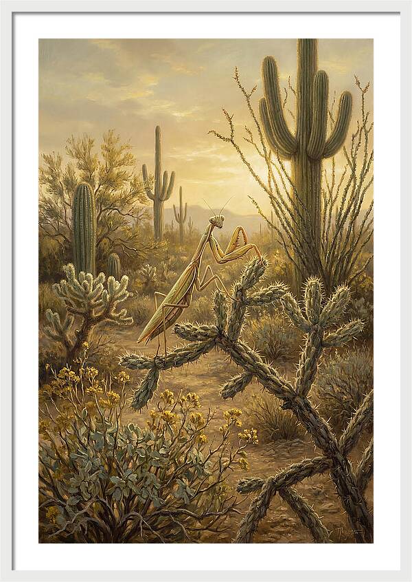 Praying Mantis In Desert Serenity