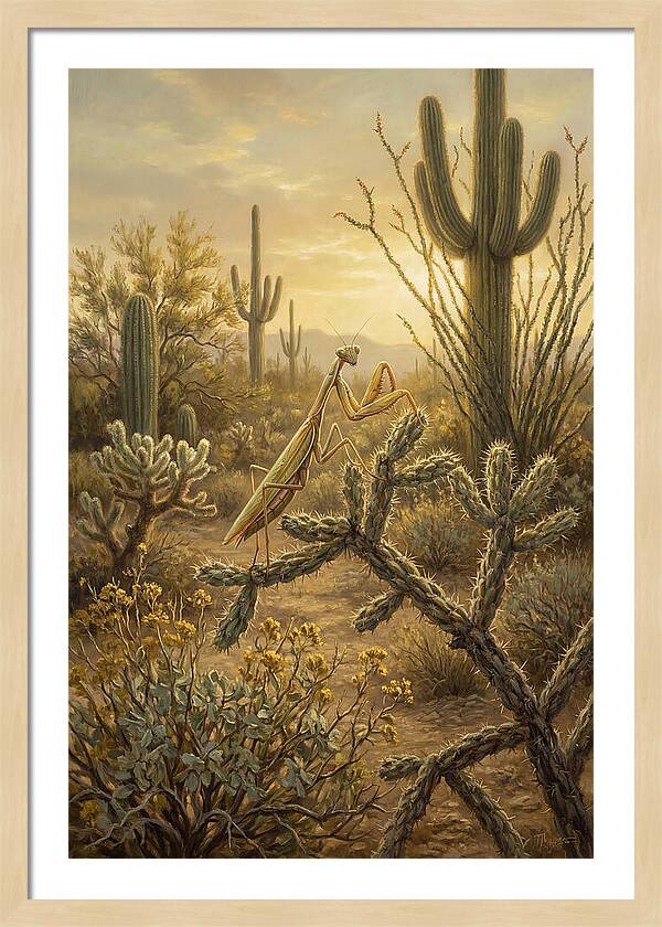 Praying Mantis In Desert Serenity