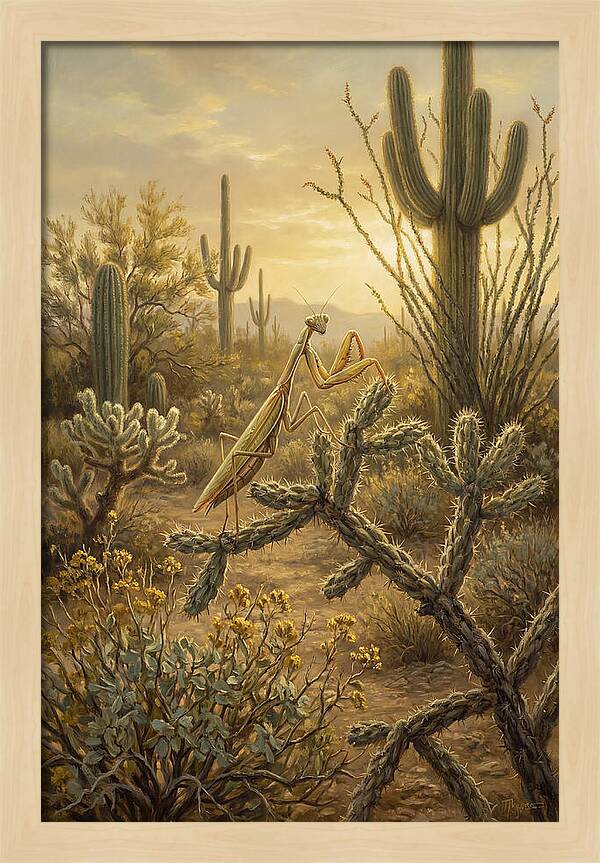 Praying Mantis In Desert Serenity