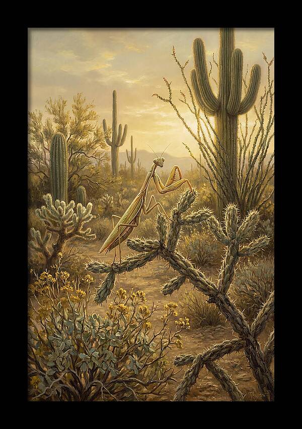 Praying Mantis In Desert Serenity