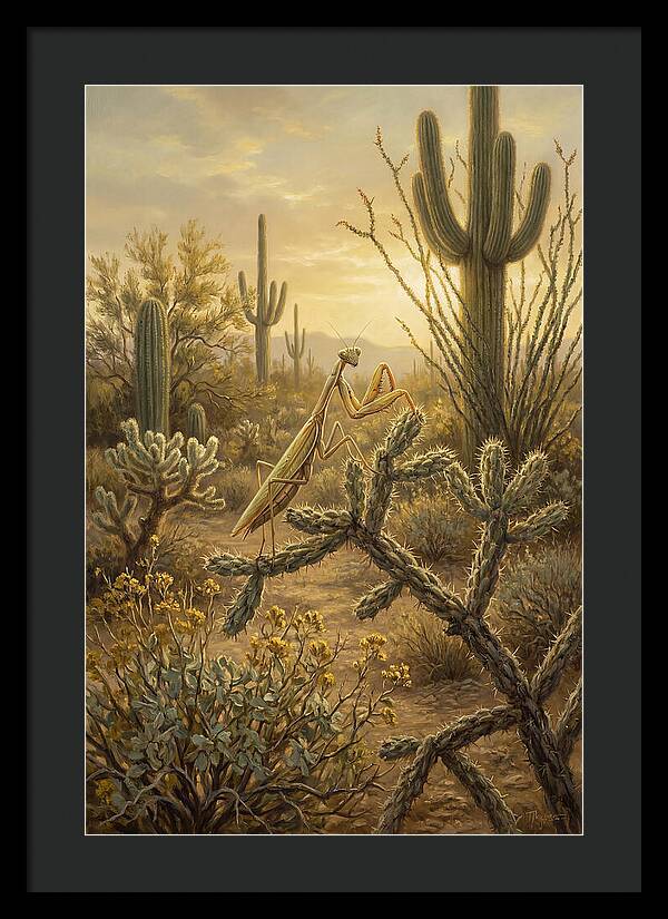Praying Mantis In Desert Serenity