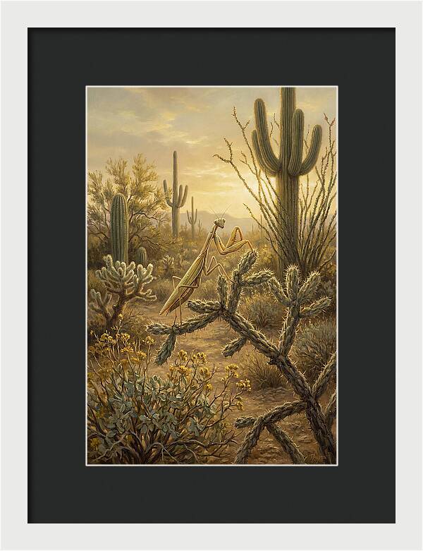 Praying Mantis In Desert Serenity