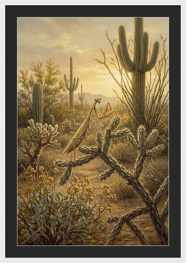 Praying Mantis In Desert Serenity