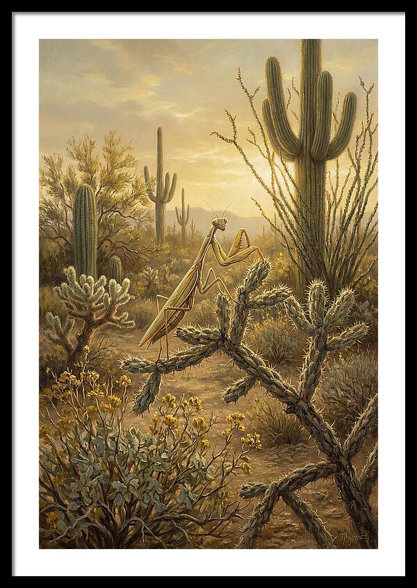 Praying Mantis In Desert Serenity