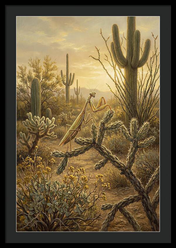 Praying Mantis In Desert Serenity