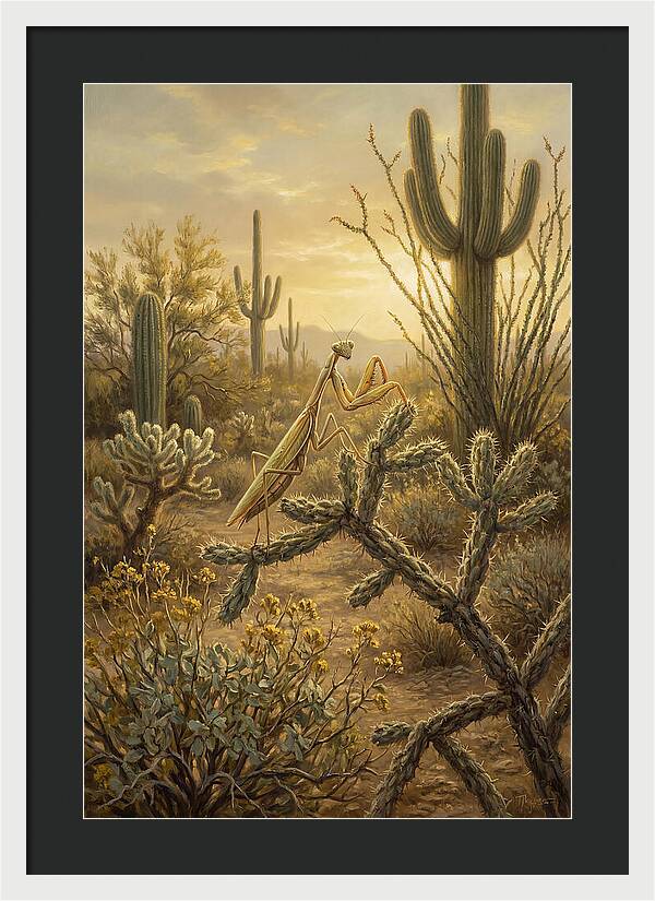 Praying Mantis In Desert Serenity