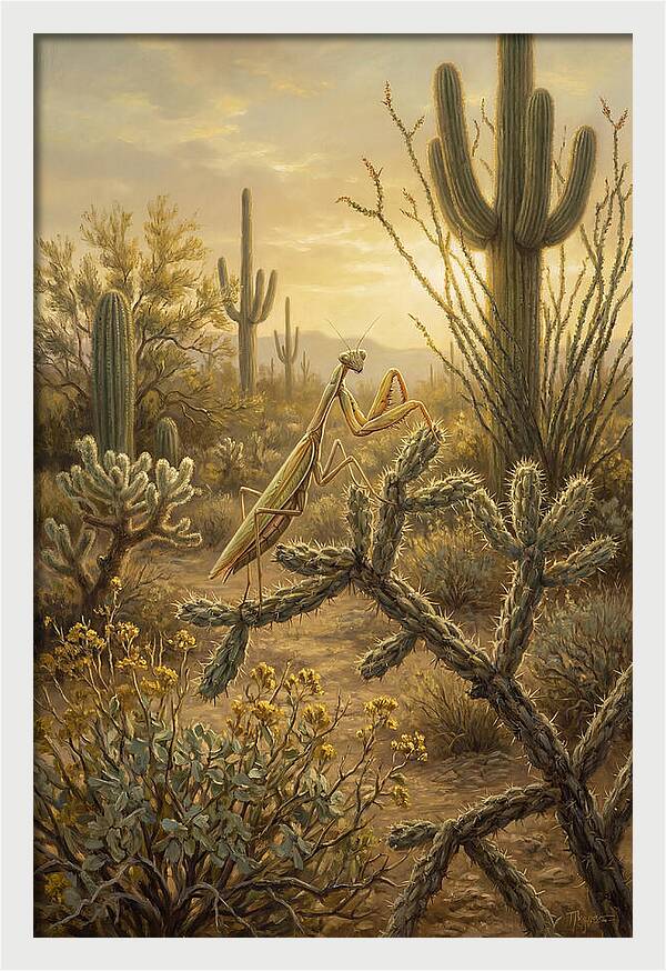 Praying Mantis In Desert Serenity