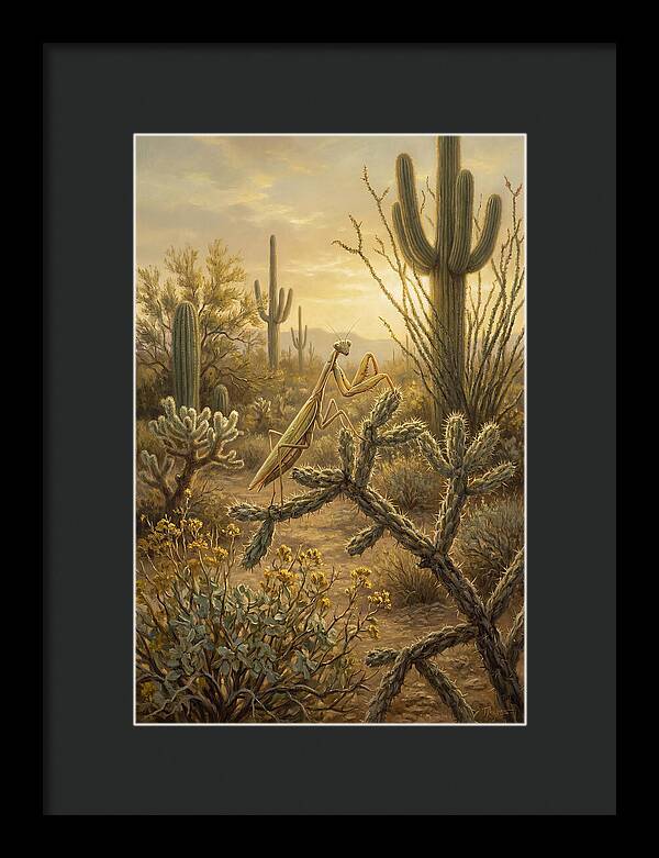 Praying Mantis In Desert Serenity